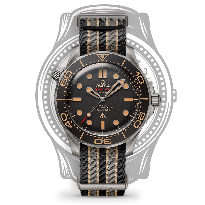 Luxury watch
